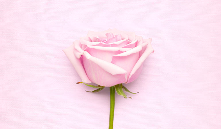 Galentine’s Day Ideas