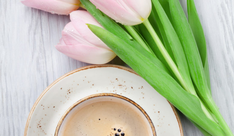 February Favorite Things!